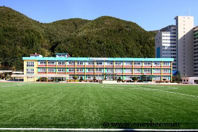 황지중앙초등학교