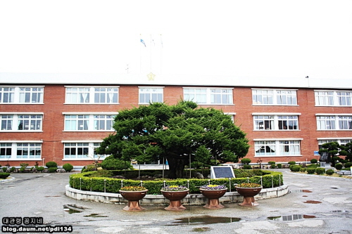 강릉초등학교