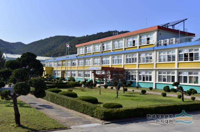 정동초등학교